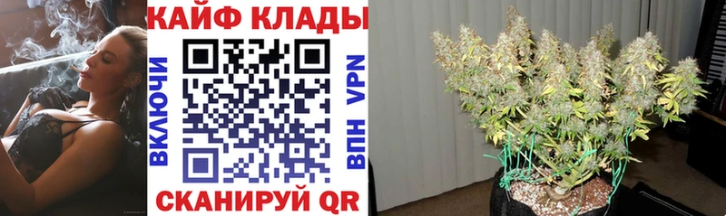 Купить наркоту Щёлково Гашиш  МАРИХУАНА  НБОМе  МЕФ  COCAIN  Альфа ПВП 