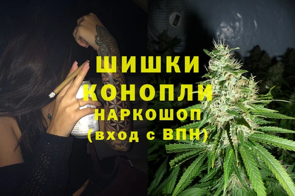 спайс Бородино