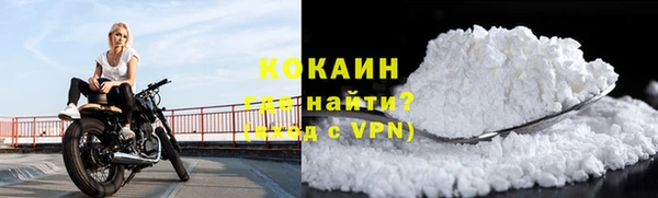 спайс Бородино