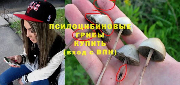 тгк Бугульма