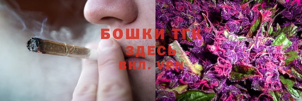 спайс Бородино