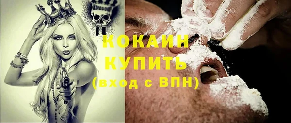 спайс Бородино