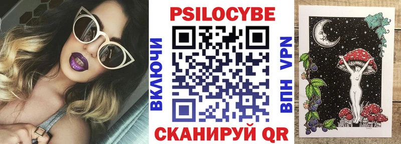 ОМГ ОМГ зеркало где продают Щёлково Псилоцибиновые грибы Cubensis